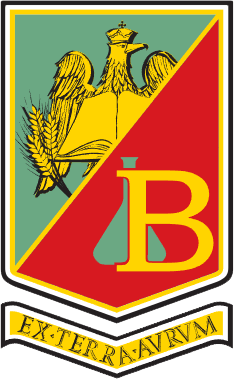 program